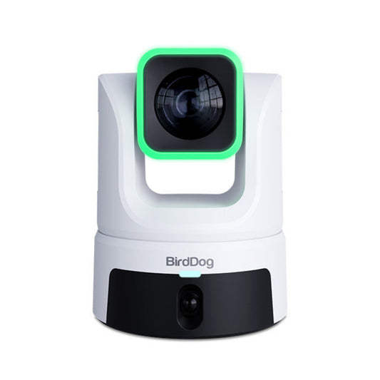 BirdDog XL Ultra Camera PTZ grand format