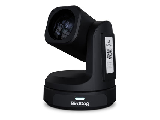 BirdDog Max 4K Camera PTZ