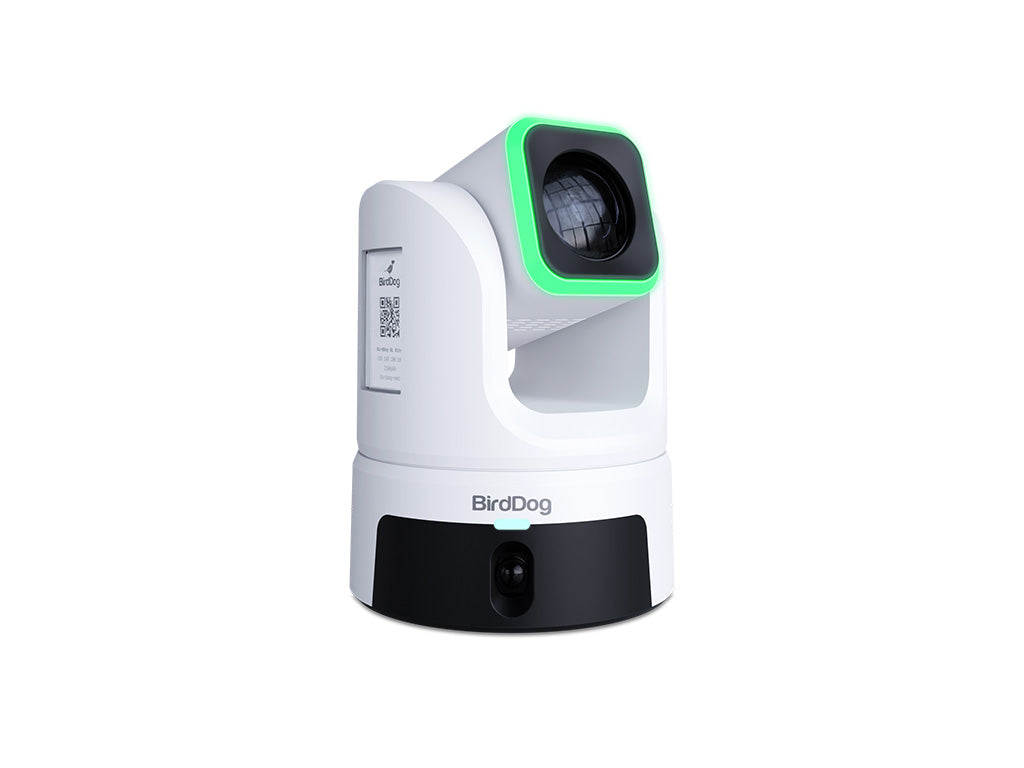 BirdDog XL Ultra Camera PTZ grand format