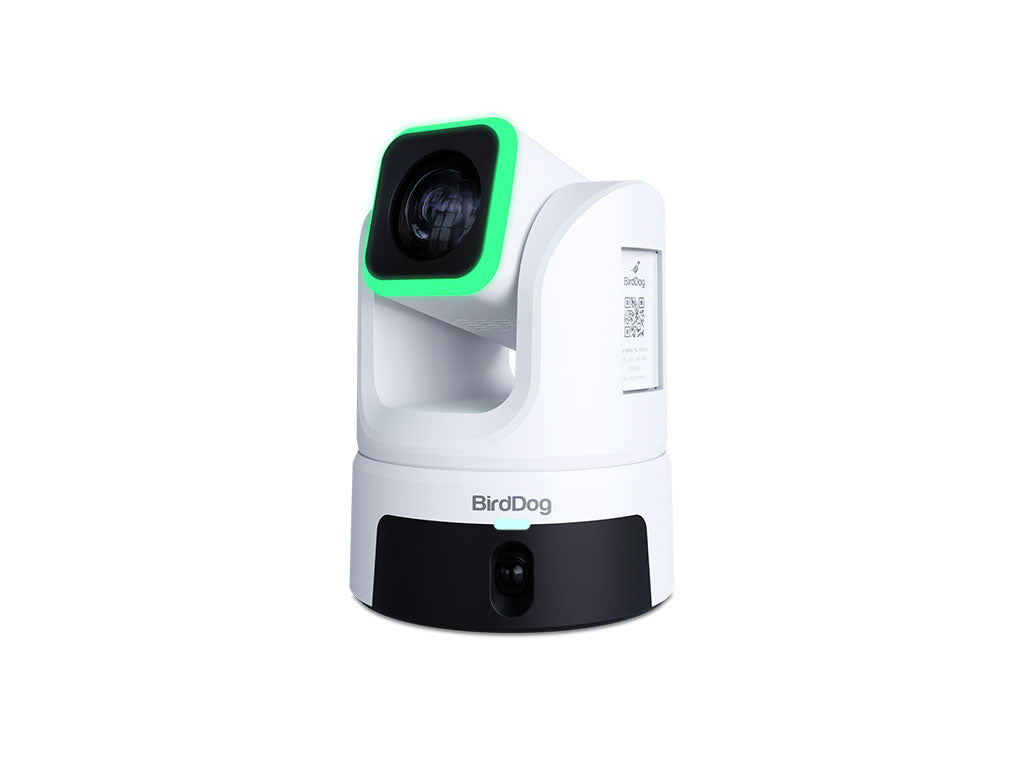BirdDog XL Ultra Camera PTZ grand format