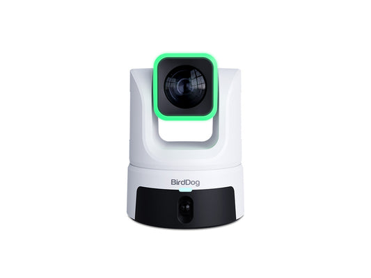 BirdDog XL Ultra Camera PTZ grand format